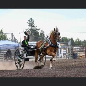 Meet your Posher, Ben